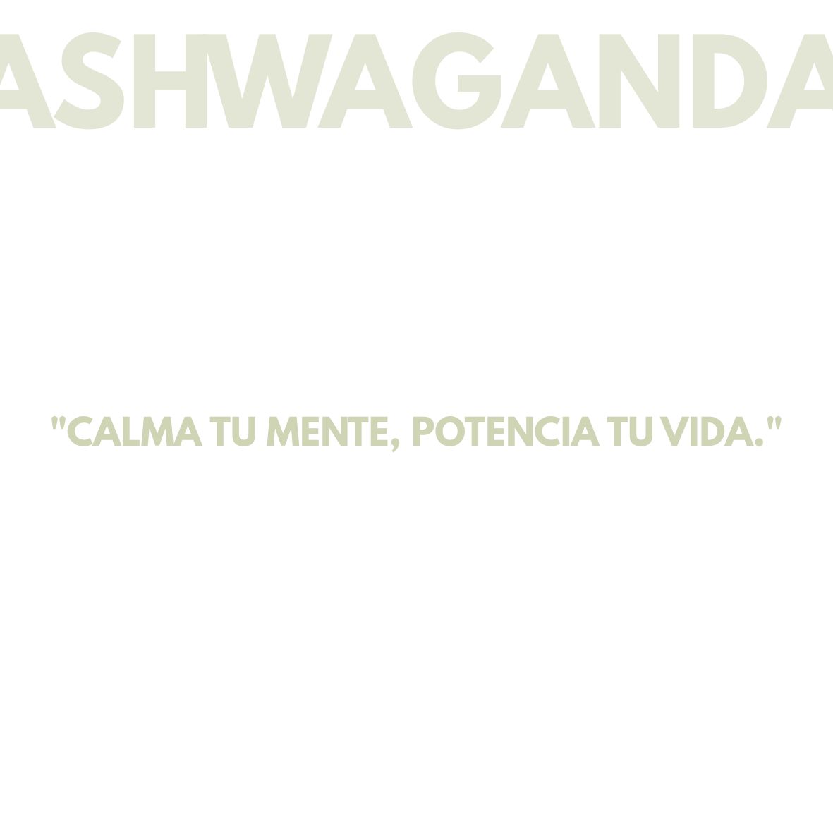ASHWAGANDHA KSM-66®+MAGNESIO 60 cápsulas - Imagen 4